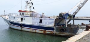 MOTOPESA A STRASCICO COD. ID 515